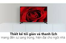 Tivi Panasonic 49 inch TH-49E410V